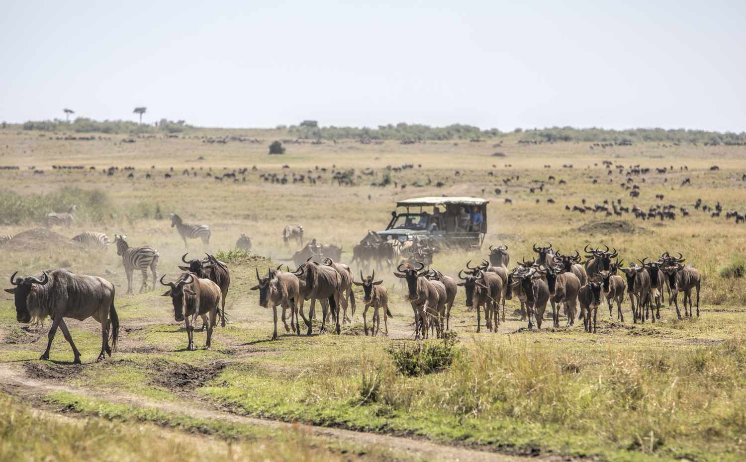 3 Days Masai Mara